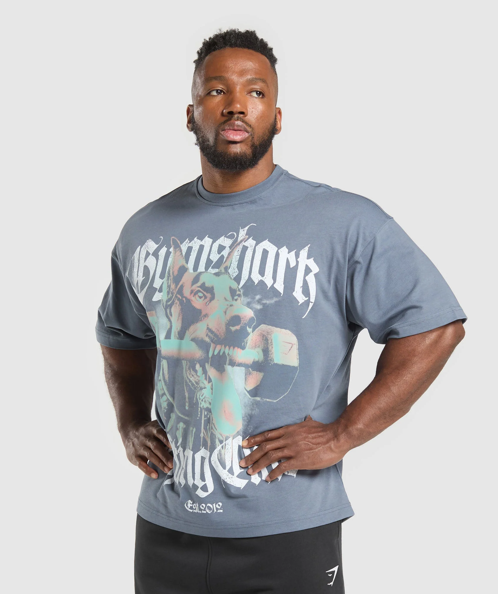 Gymshark Doberman Graphic T-Shirt - Iron Blue - Image 6