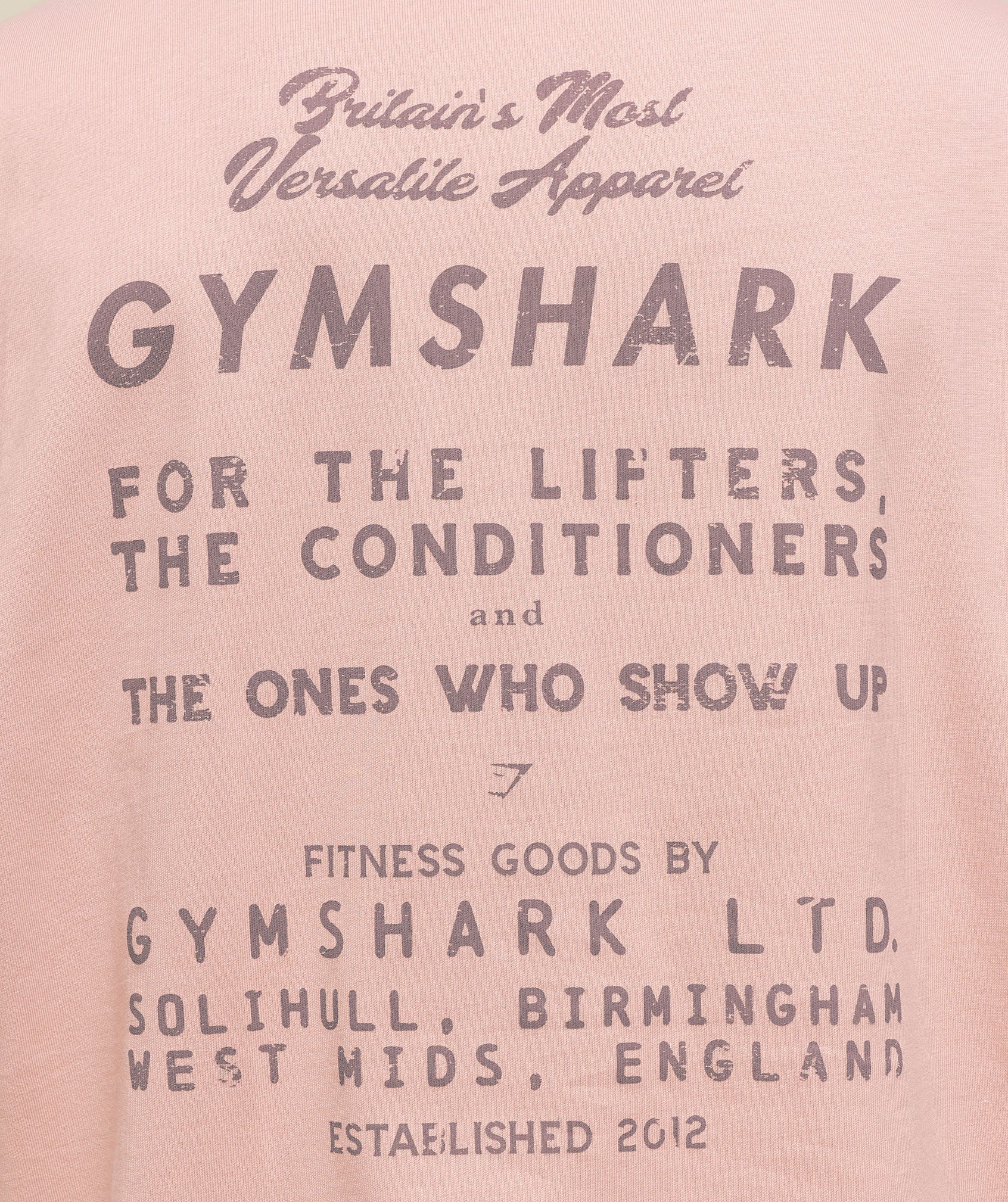 Gymshark For The Lifters Boxy T-Shirt - Rest Pink - Image 4
